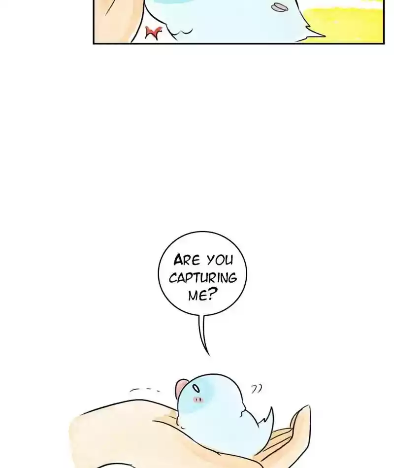 A Budgie's Life Chapter 210: Ep.209: