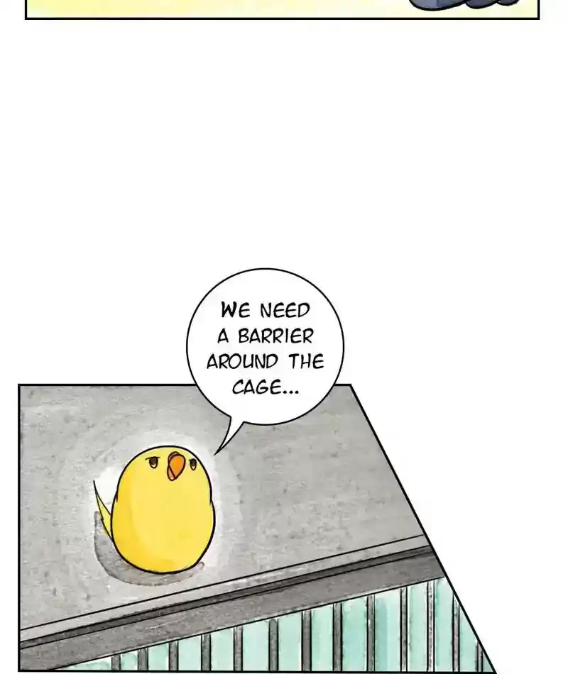 A Budgie's Life Chapter 211: Ep.210: