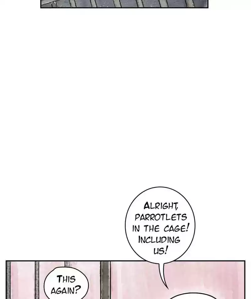 A Budgie's Life Chapter 211: Ep.210: