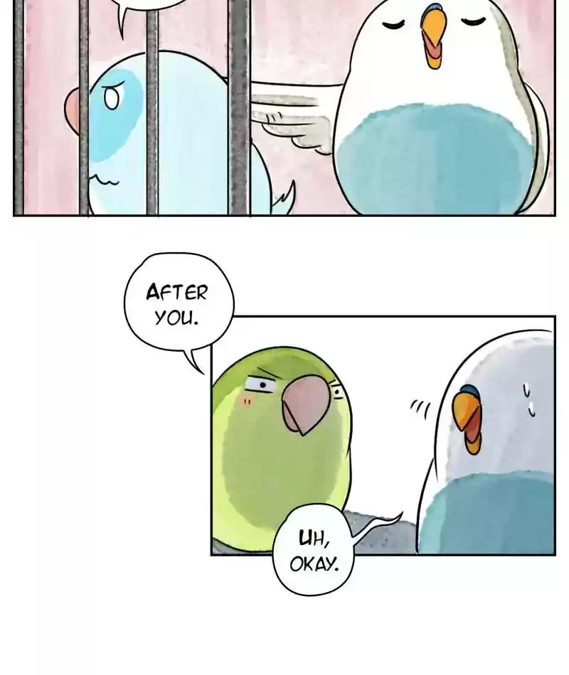 A Budgie's Life Chapter 211: Ep.210: