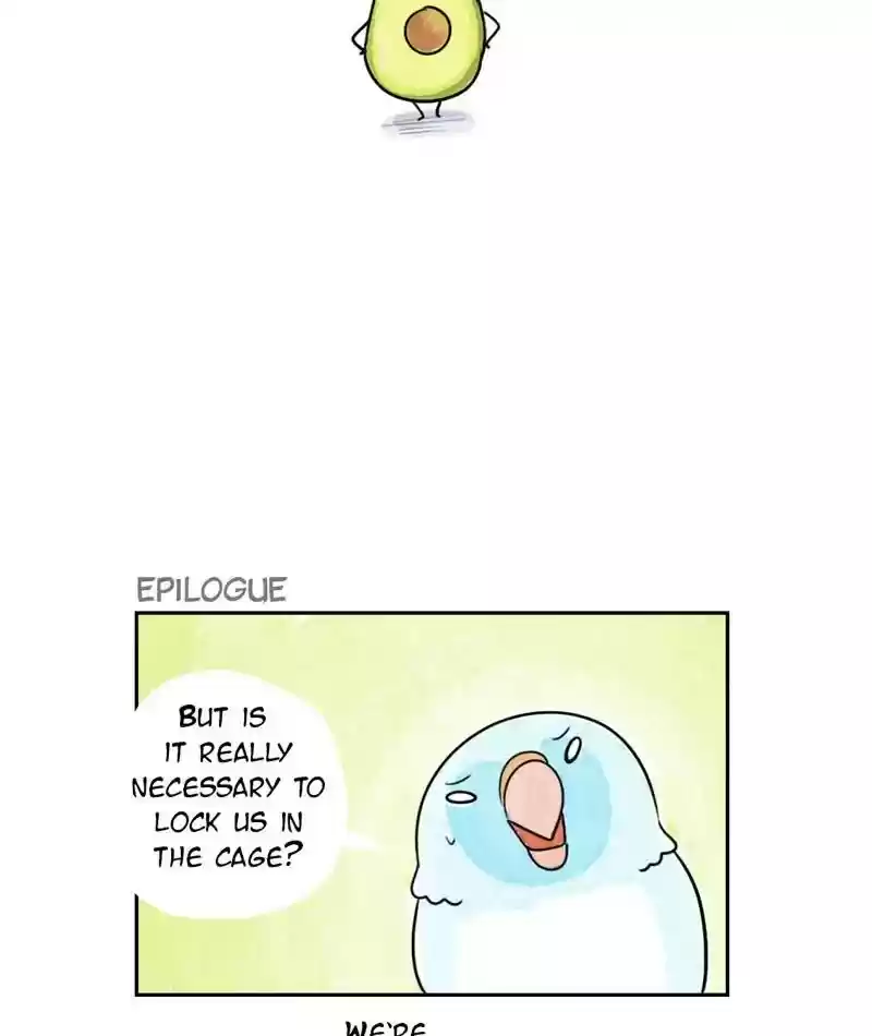 A Budgie's Life Chapter 211: Ep.210: