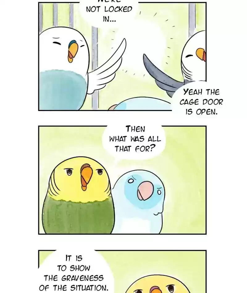 A Budgie's Life Chapter 211: Ep.210: