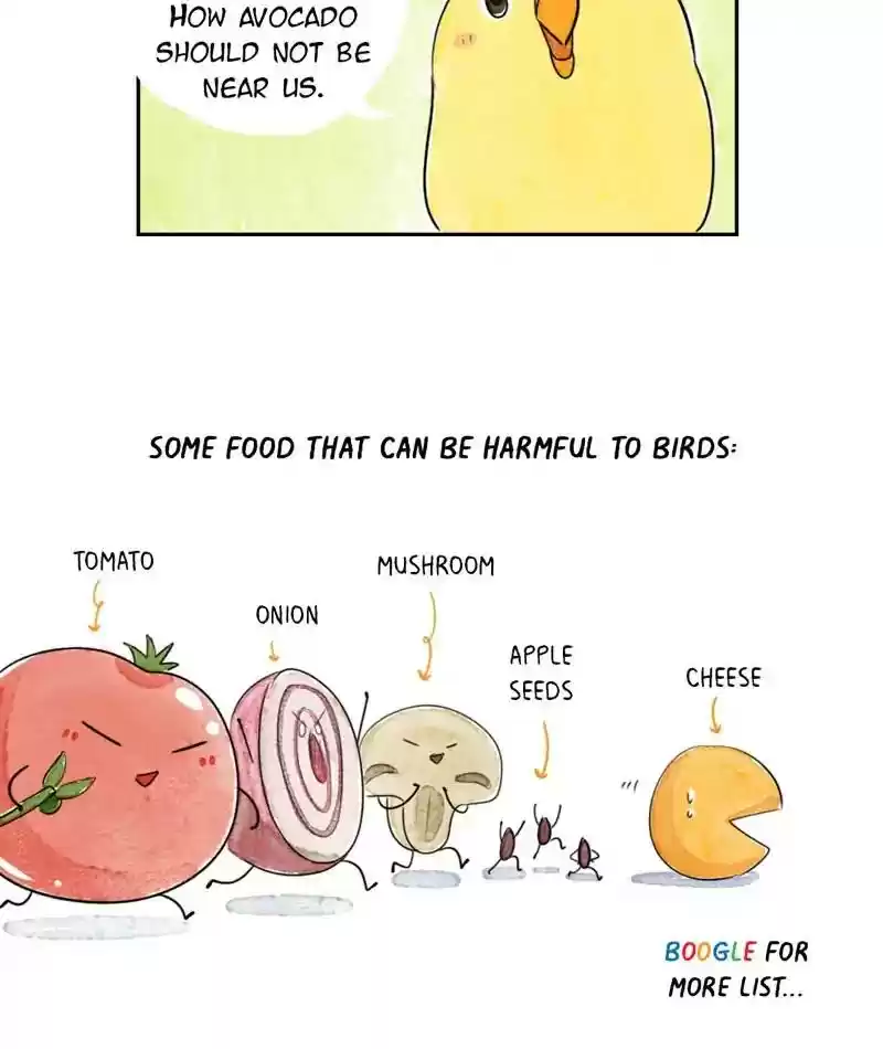 A Budgie's Life Chapter 211: Ep.210: