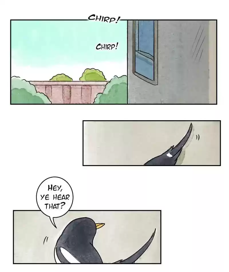 A Budgie's Life Chapter 212: Ep.211: