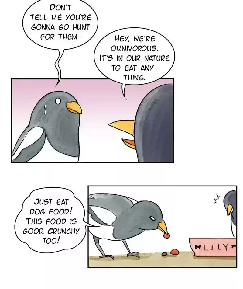 A Budgie's Life Chapter 212: Ep.211: