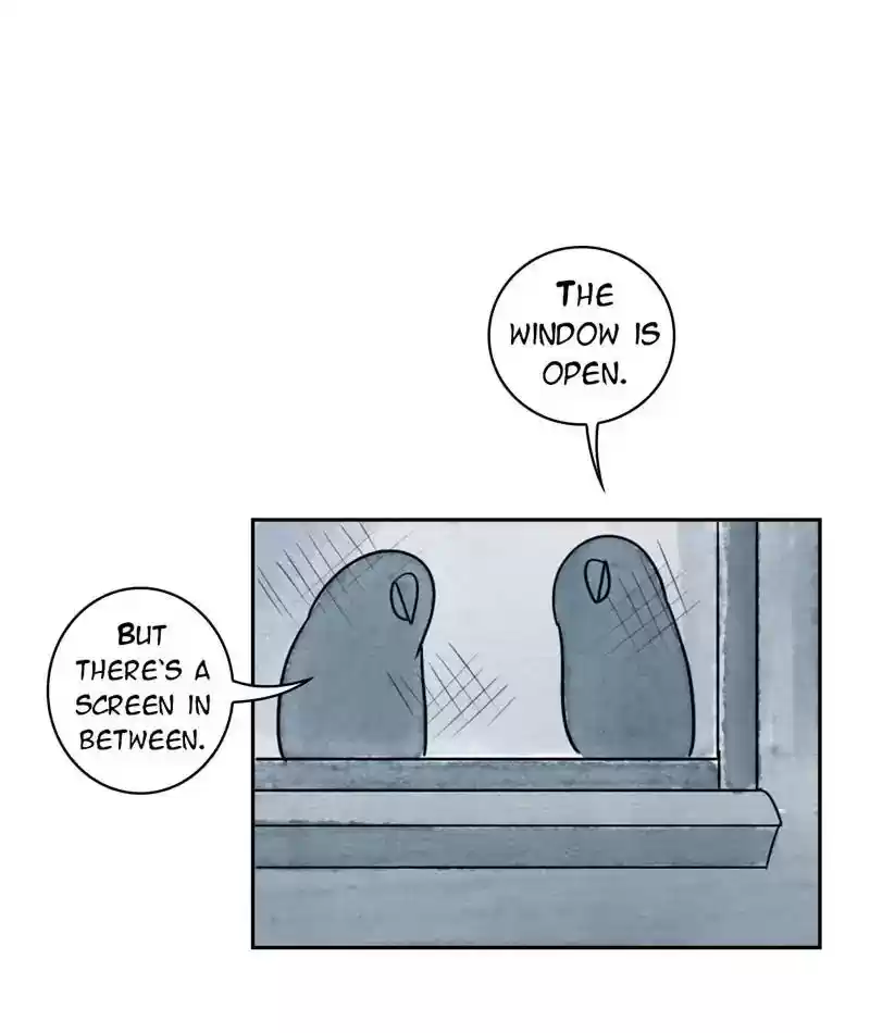 A Budgie's Life Chapter 212: Ep.211: