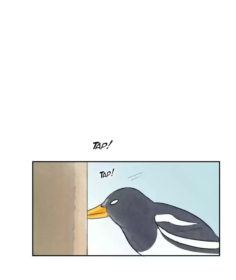 A Budgie's Life Chapter 212: Ep.211: