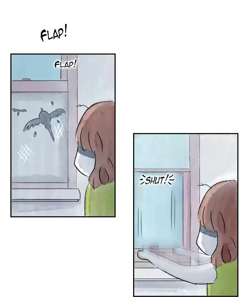 A Budgie's Life Chapter 212: Ep.211: