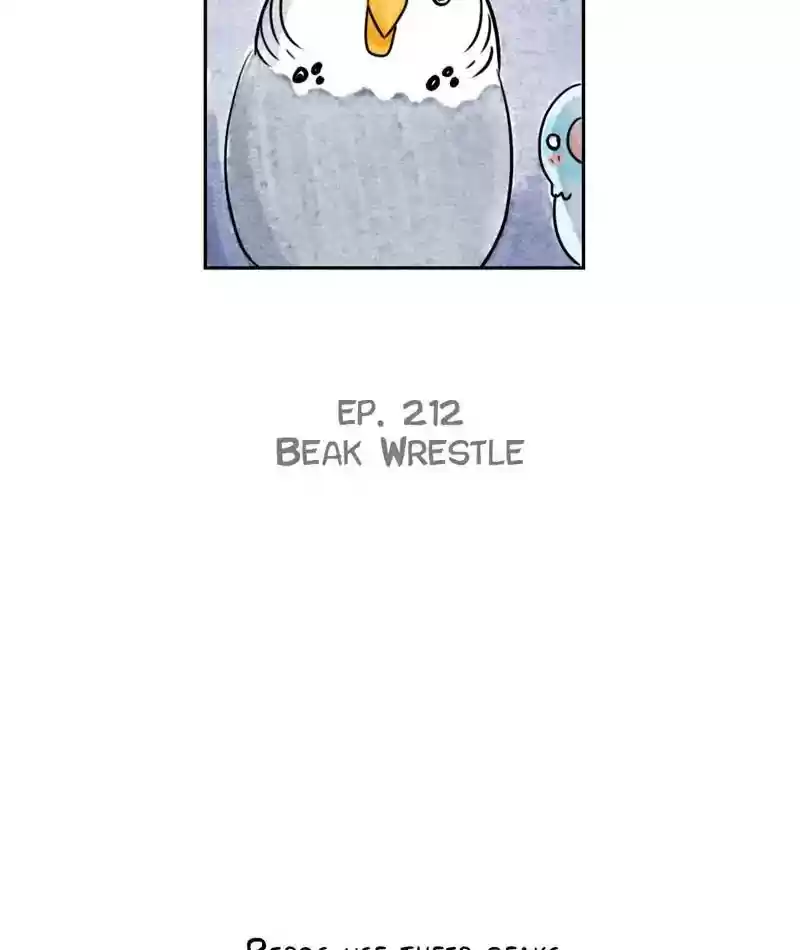 A Budgie's Life Chapter 213: Ep.212: