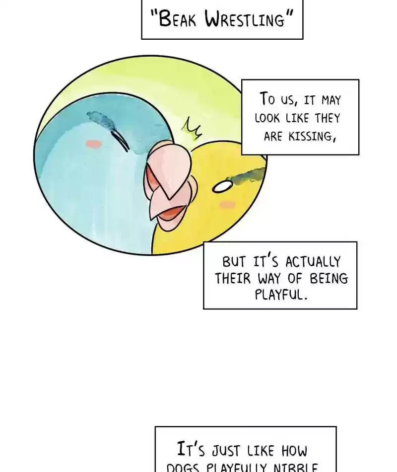 A Budgie's Life Chapter 213: Ep.212:
