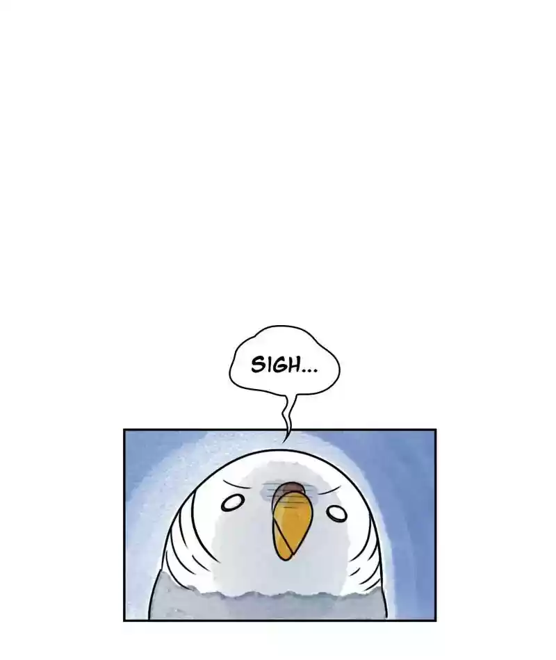 A Budgie's Life Chapter 213: Ep.212: