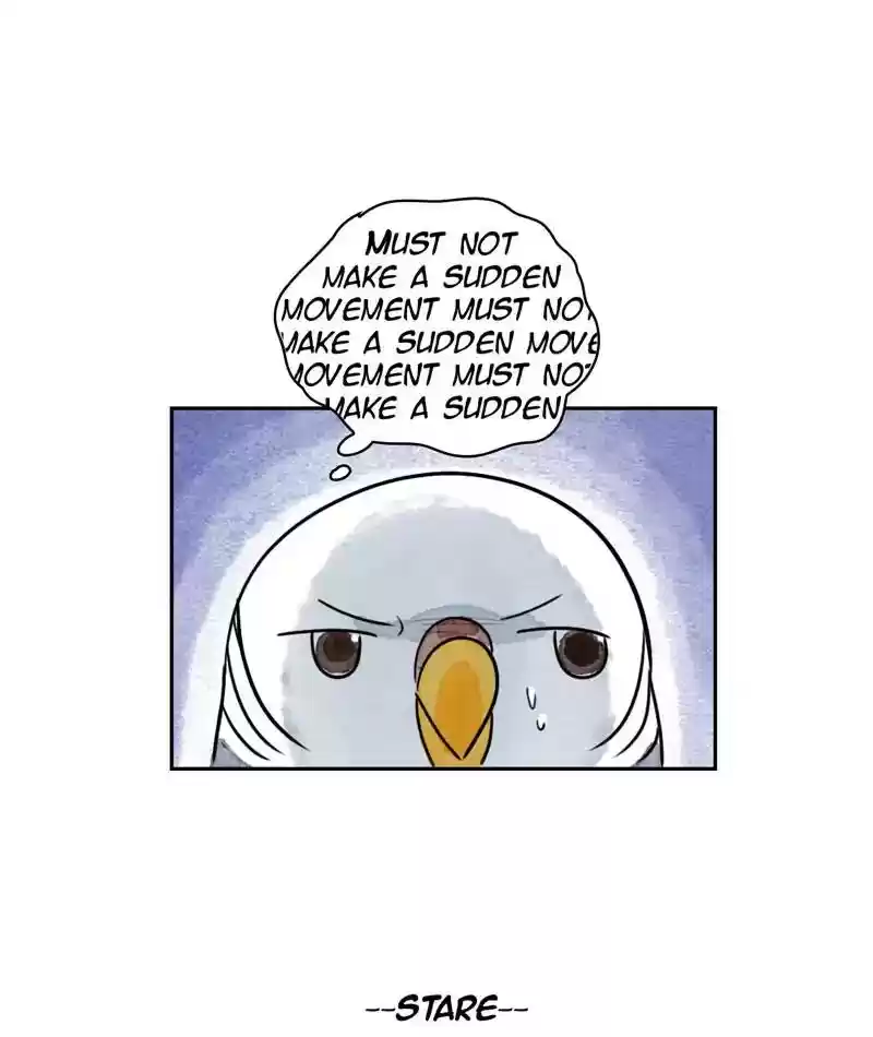 A Budgie's Life Chapter 213: Ep.212: