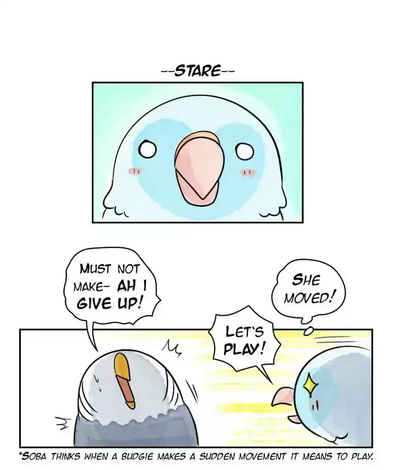 A Budgie's Life Chapter 213: Ep.212: