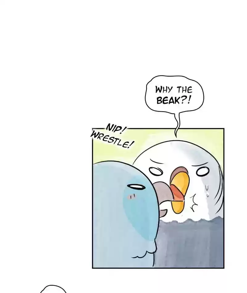 A Budgie's Life Chapter 213: Ep.212: