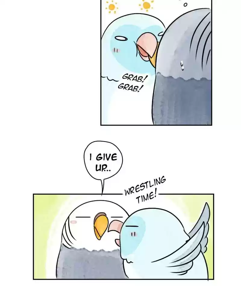 A Budgie's Life Chapter 213: Ep.212: