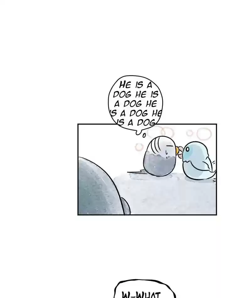 A Budgie's Life Chapter 213: Ep.212: