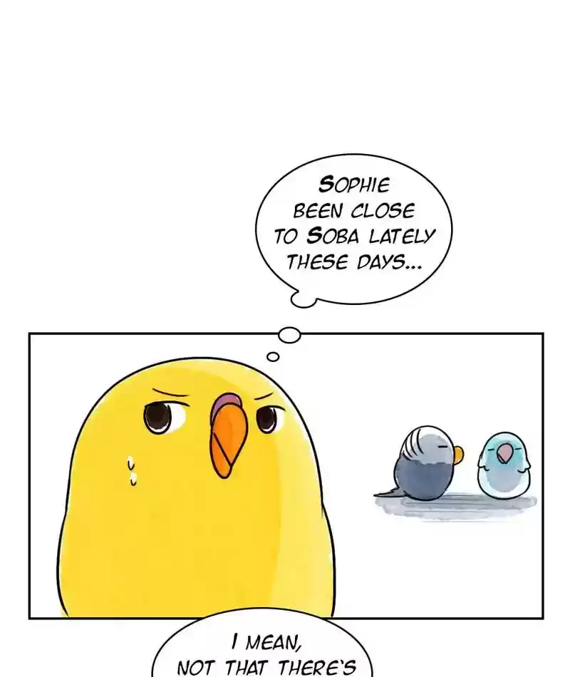 A Budgie's Life Chapter 214: Ep.213: