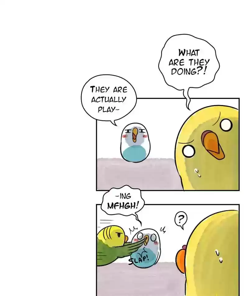 A Budgie's Life Chapter 214: Ep.213: