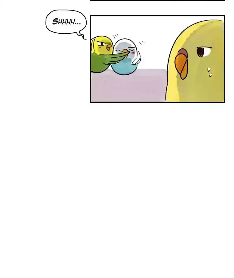 A Budgie's Life Chapter 214: Ep.213: