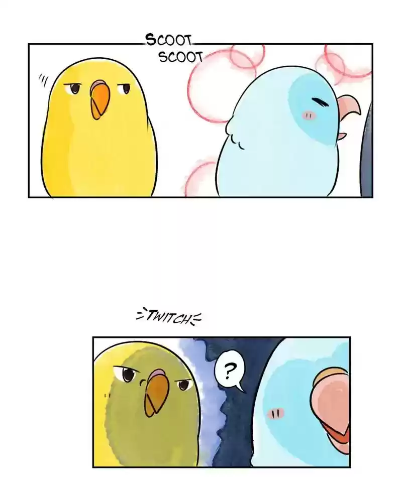 A Budgie's Life Chapter 214: Ep.213: