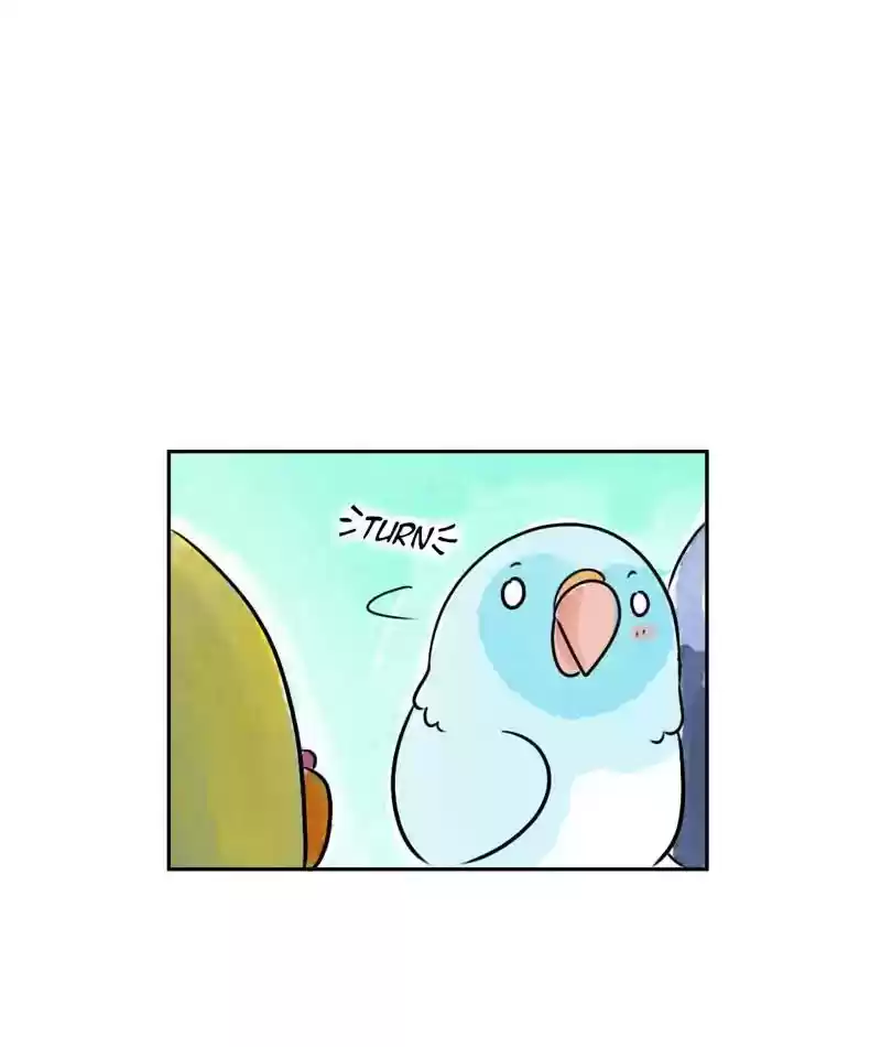 A Budgie's Life Chapter 214: Ep.213: