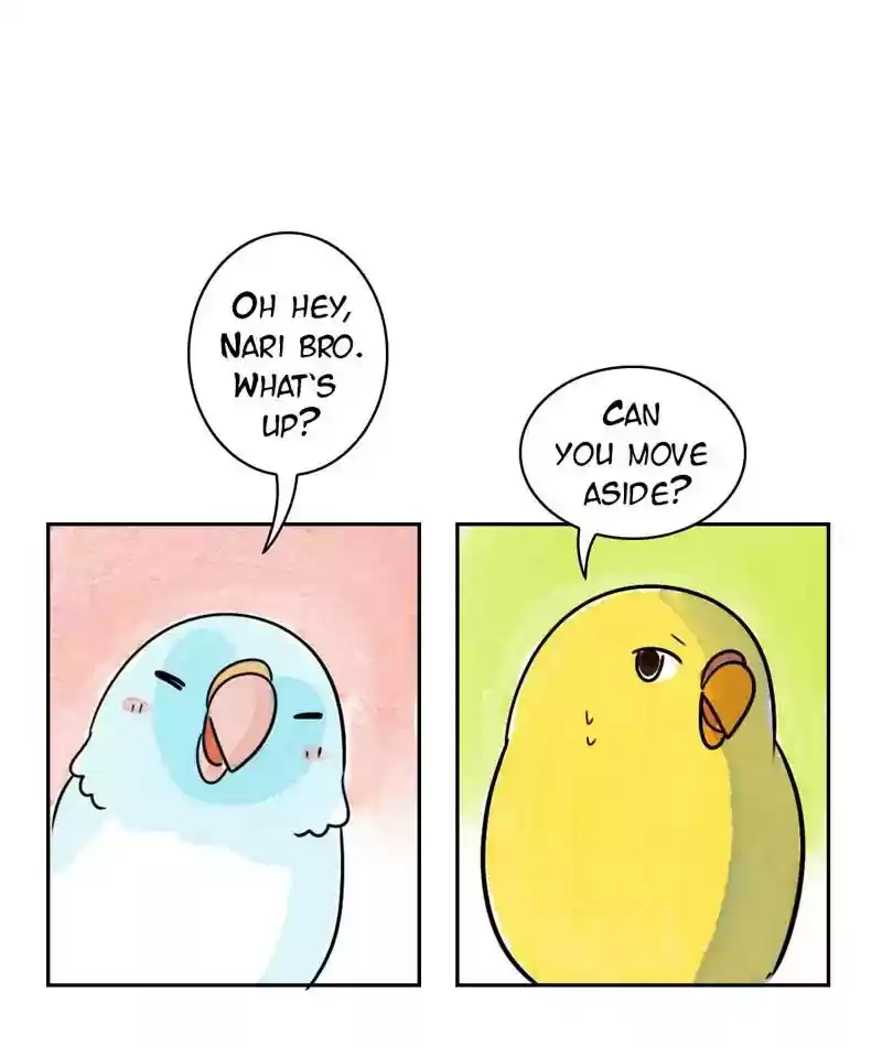 A Budgie's Life Chapter 214: Ep.213:
