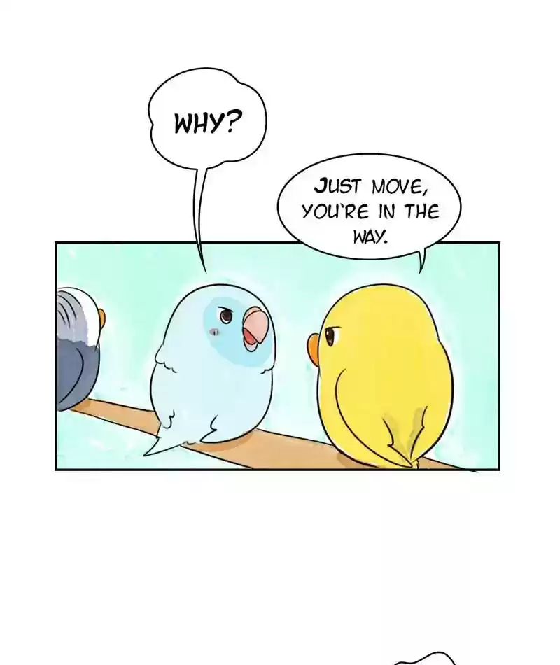 A Budgie's Life Chapter 214: Ep.213: