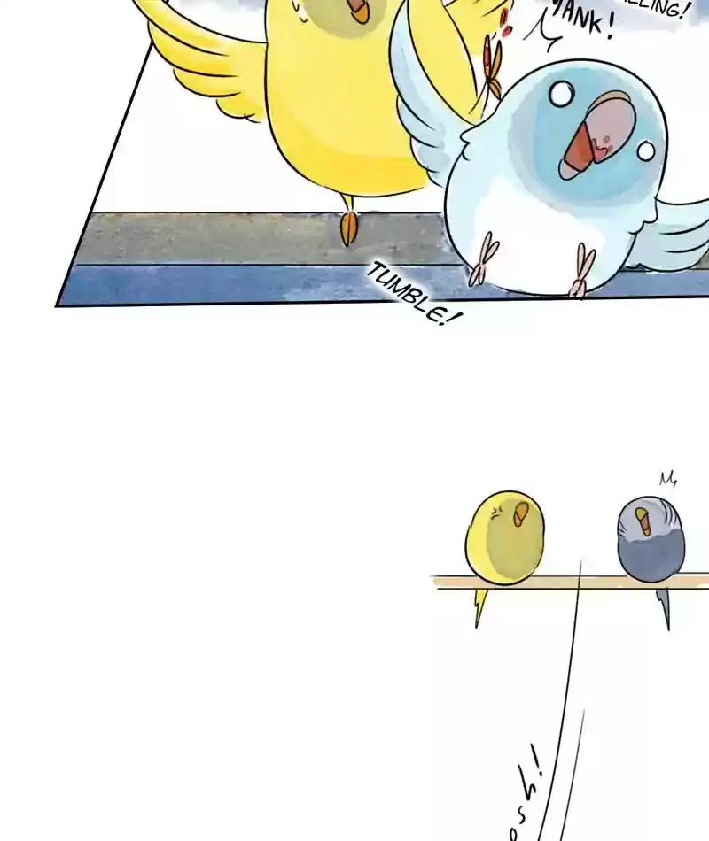 A Budgie's Life Chapter 214: Ep.213: