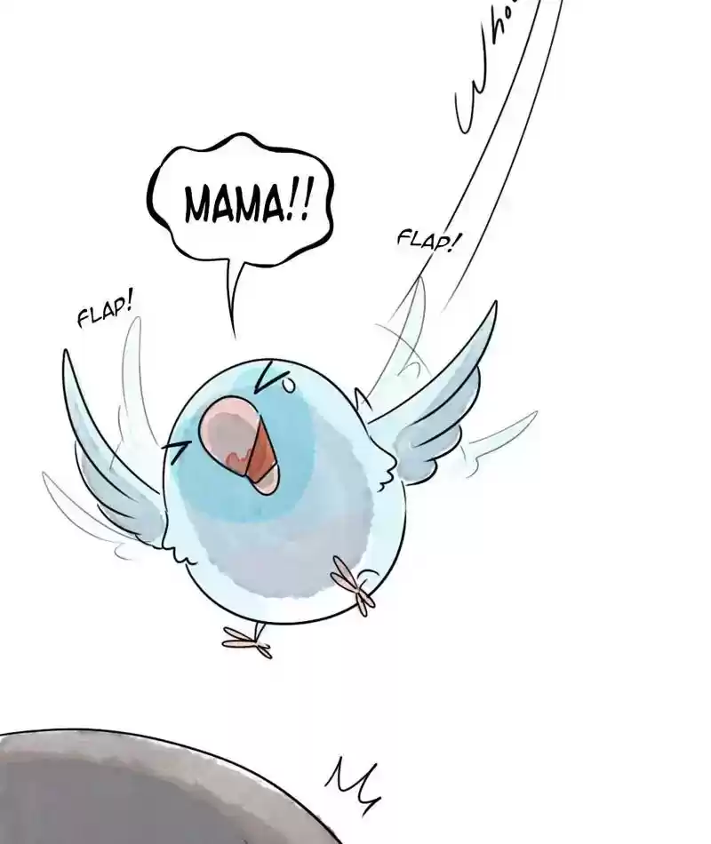 A Budgie's Life Chapter 214: Ep.213: