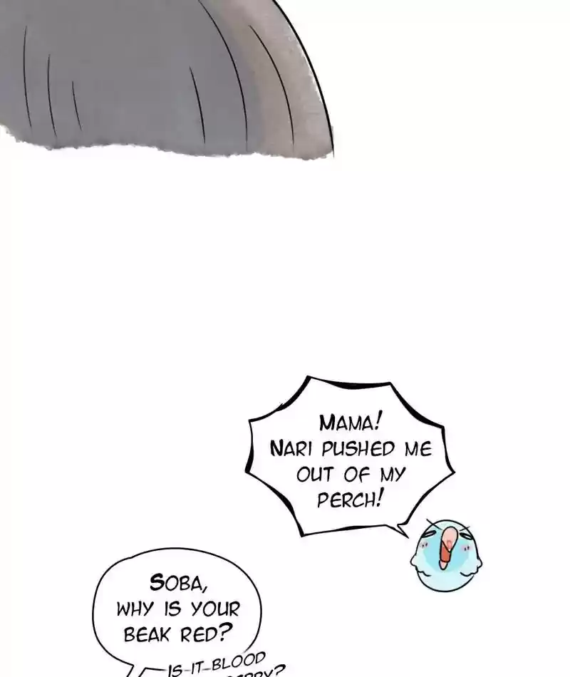 A Budgie's Life Chapter 214: Ep.213: