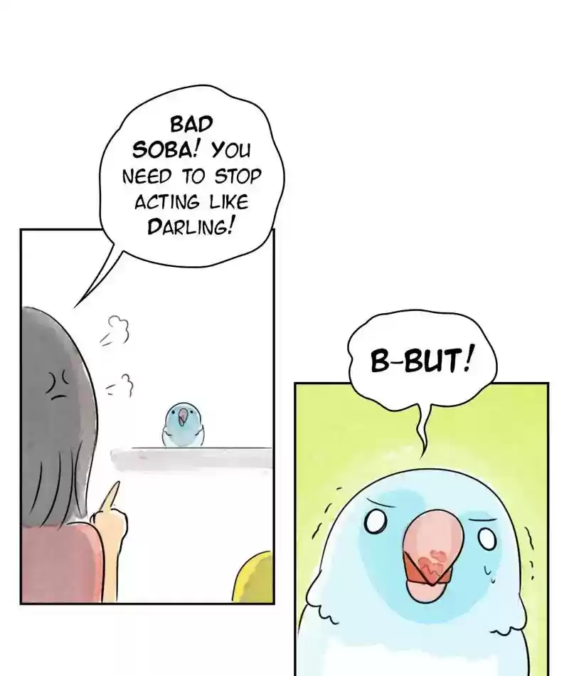 A Budgie's Life Chapter 214: Ep.213: