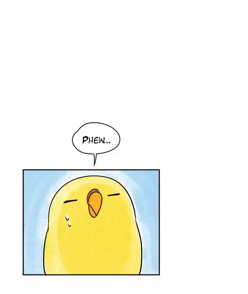 A Budgie's Life Chapter 214: Ep.213:
