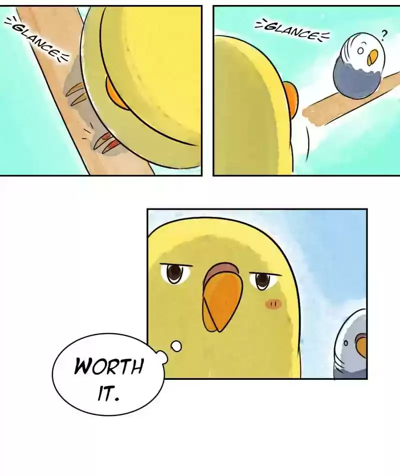 A Budgie's Life Chapter 214: Ep.213: