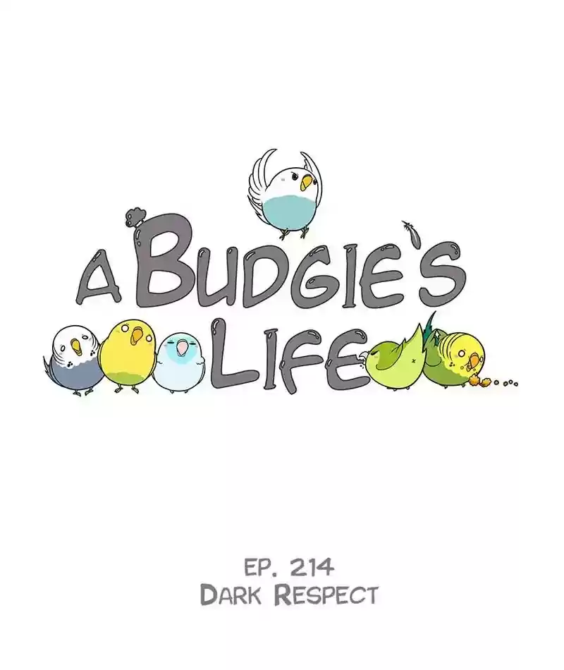 A Budgie's Life Chapter 215: Ep.214: