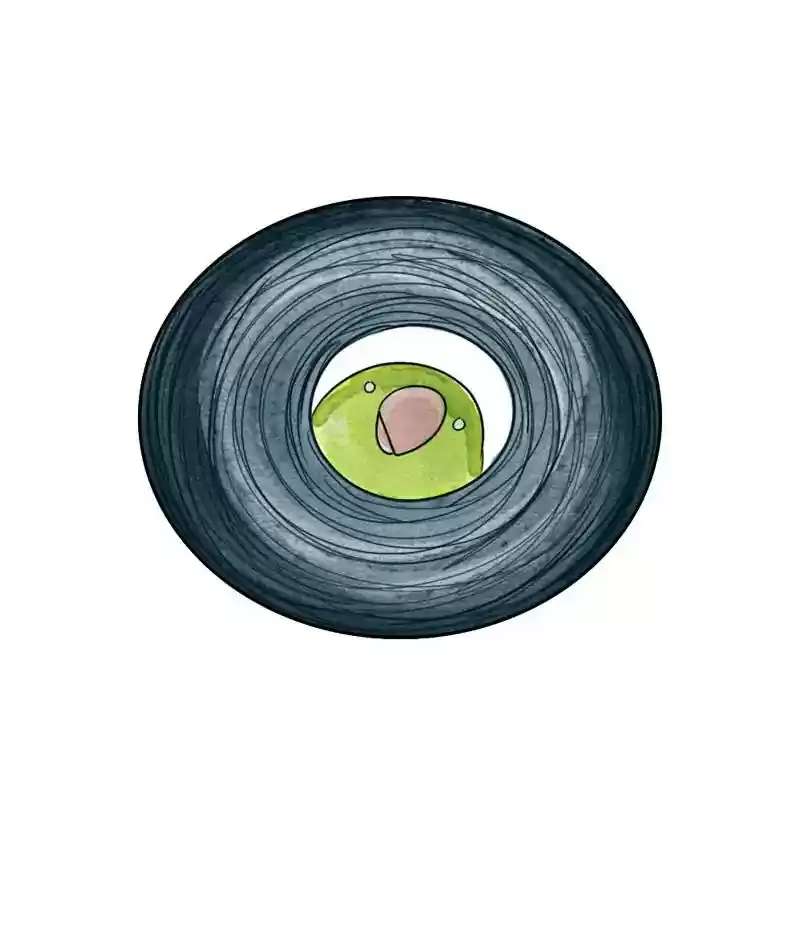 A Budgie's Life Chapter 215: Ep.214: