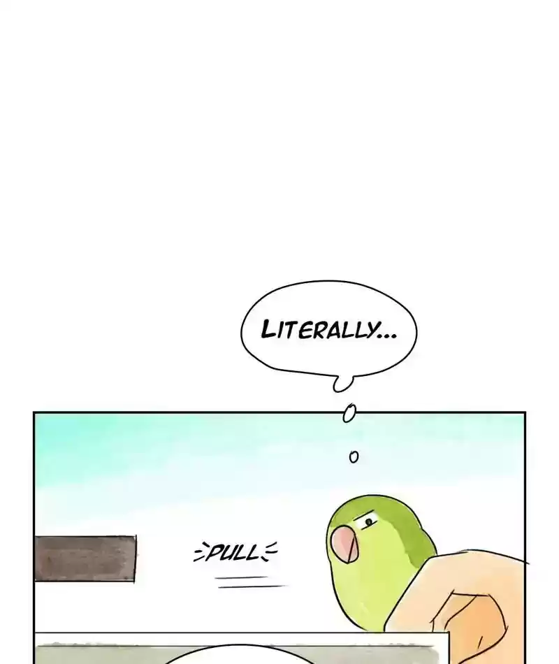A Budgie's Life Chapter 215: Ep.214: