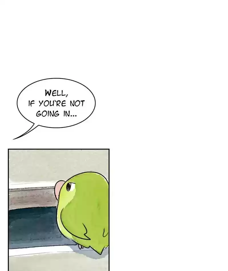 A Budgie's Life Chapter 215: Ep.214: