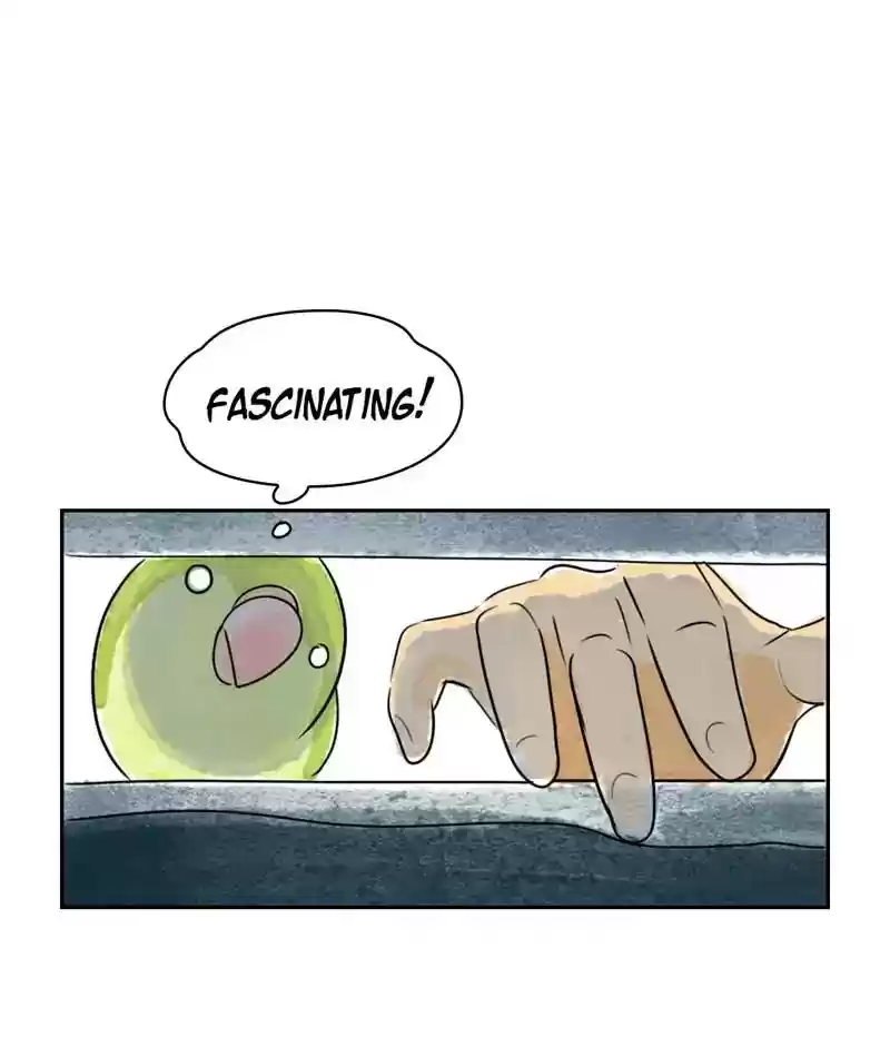 A Budgie's Life Chapter 215: Ep.214: