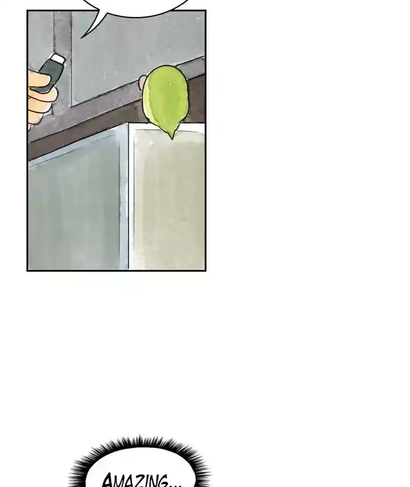 A Budgie's Life Chapter 215: Ep.214: