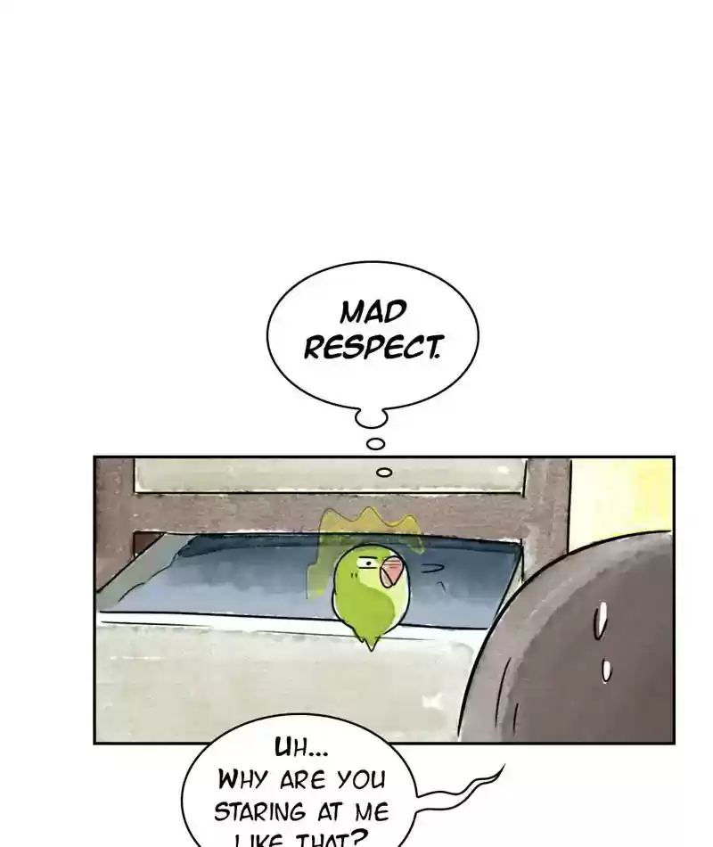 A Budgie's Life Chapter 215: Ep.214: