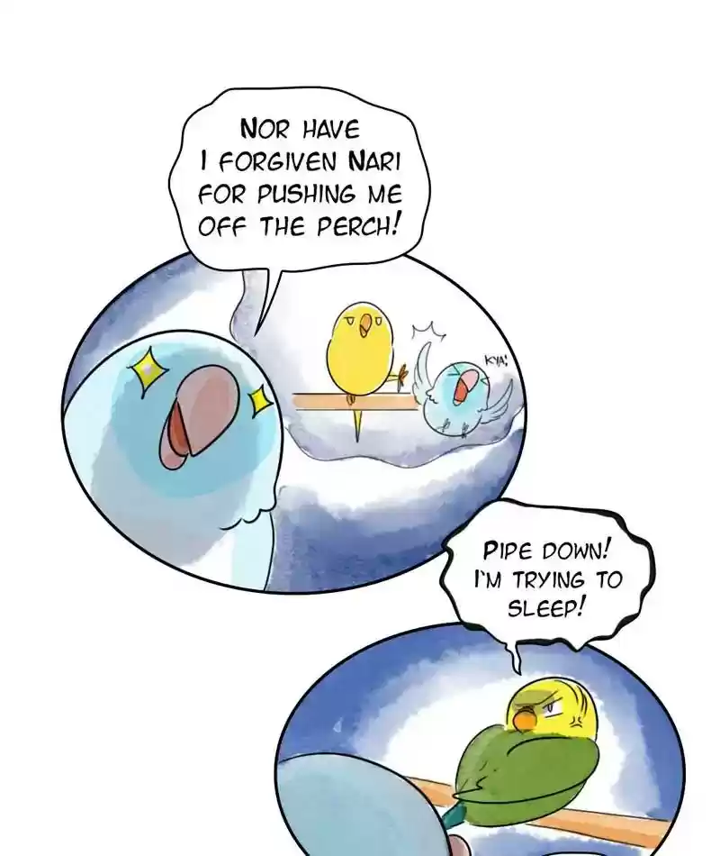 A Budgie's Life Chapter 216: Ep.215: