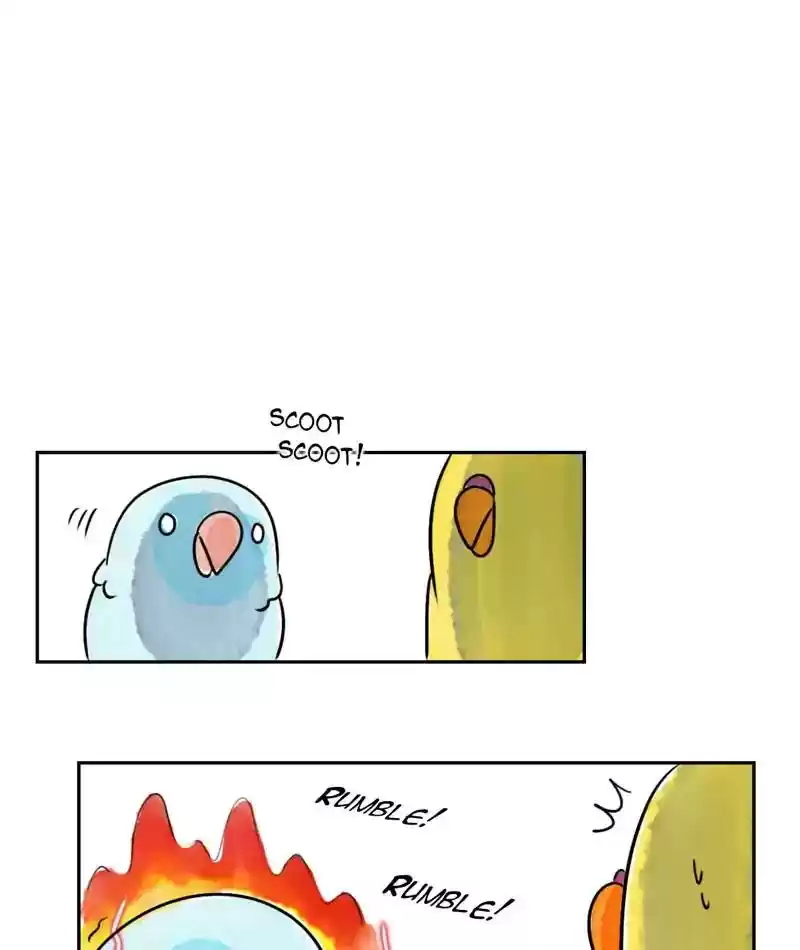 A Budgie's Life Chapter 216: Ep.215: