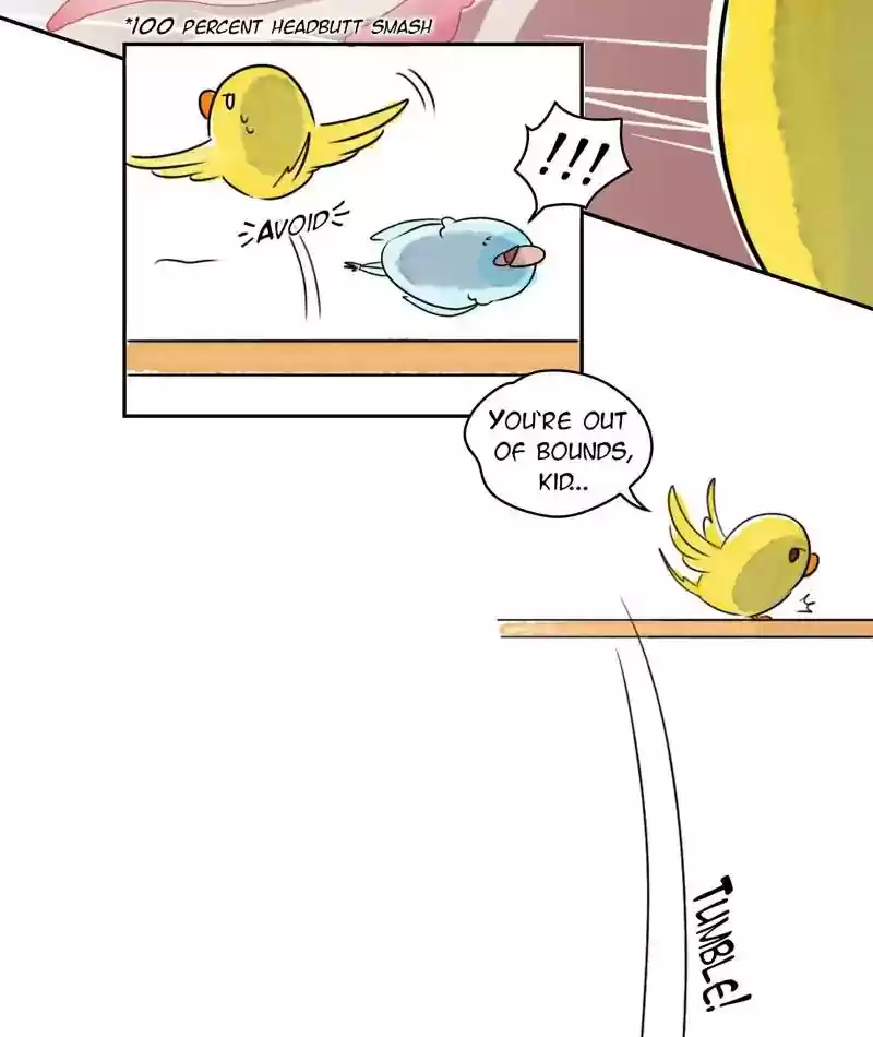 A Budgie's Life Chapter 216: Ep.215: