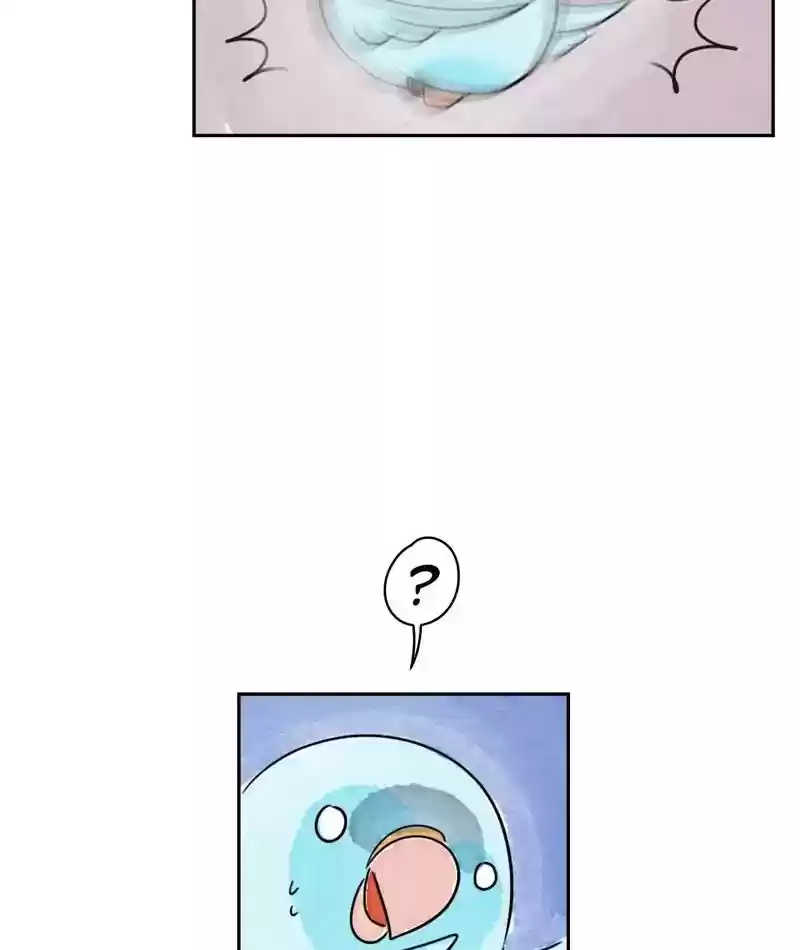 A Budgie's Life Chapter 216: Ep.215: