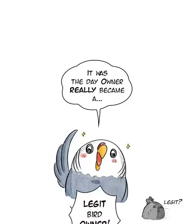 A Budgie's Life Chapter 217: Ep.216: