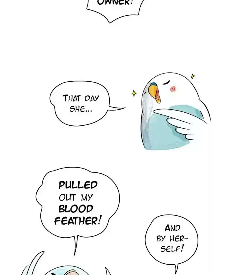 A Budgie's Life Chapter 217: Ep.216:
