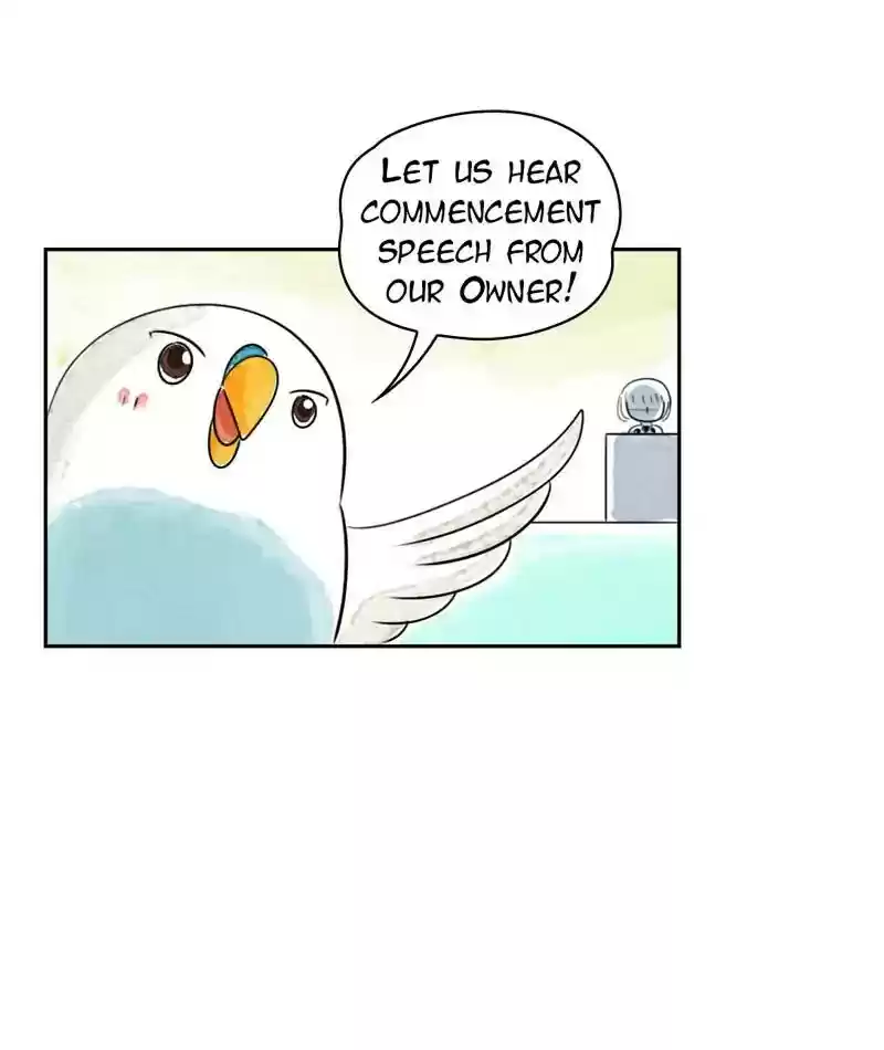 A Budgie's Life Chapter 217: Ep.216: