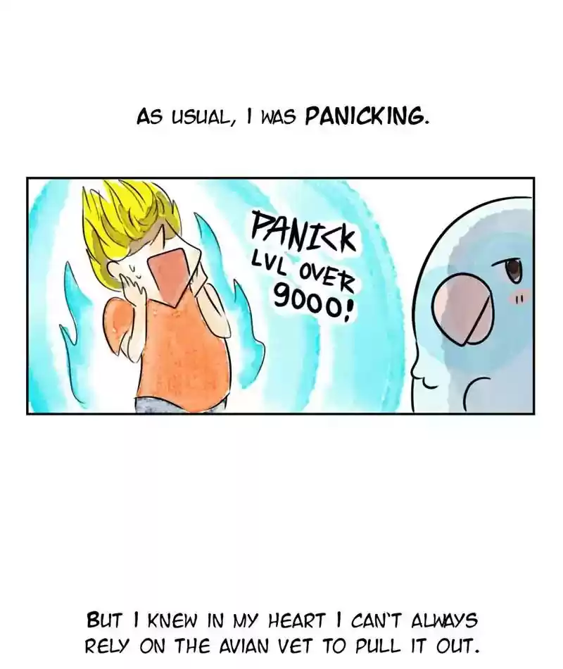 A Budgie's Life Chapter 217: Ep.216: