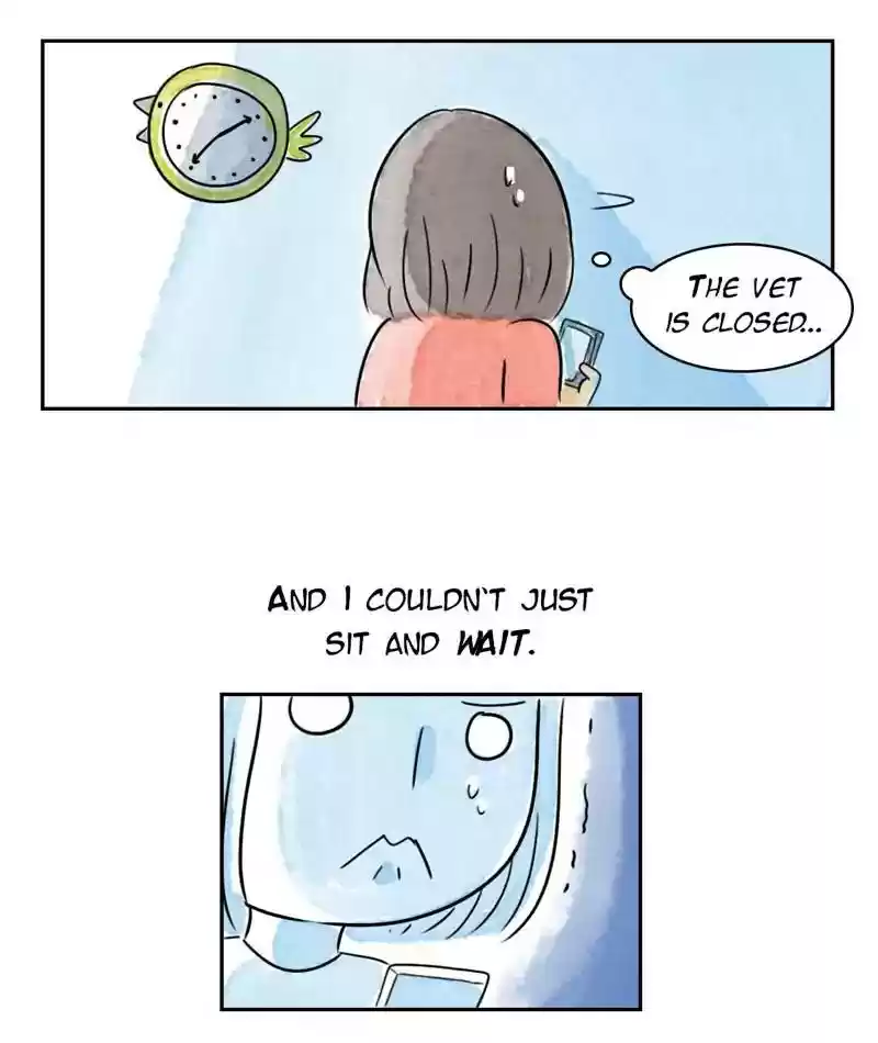 A Budgie's Life Chapter 217: Ep.216: