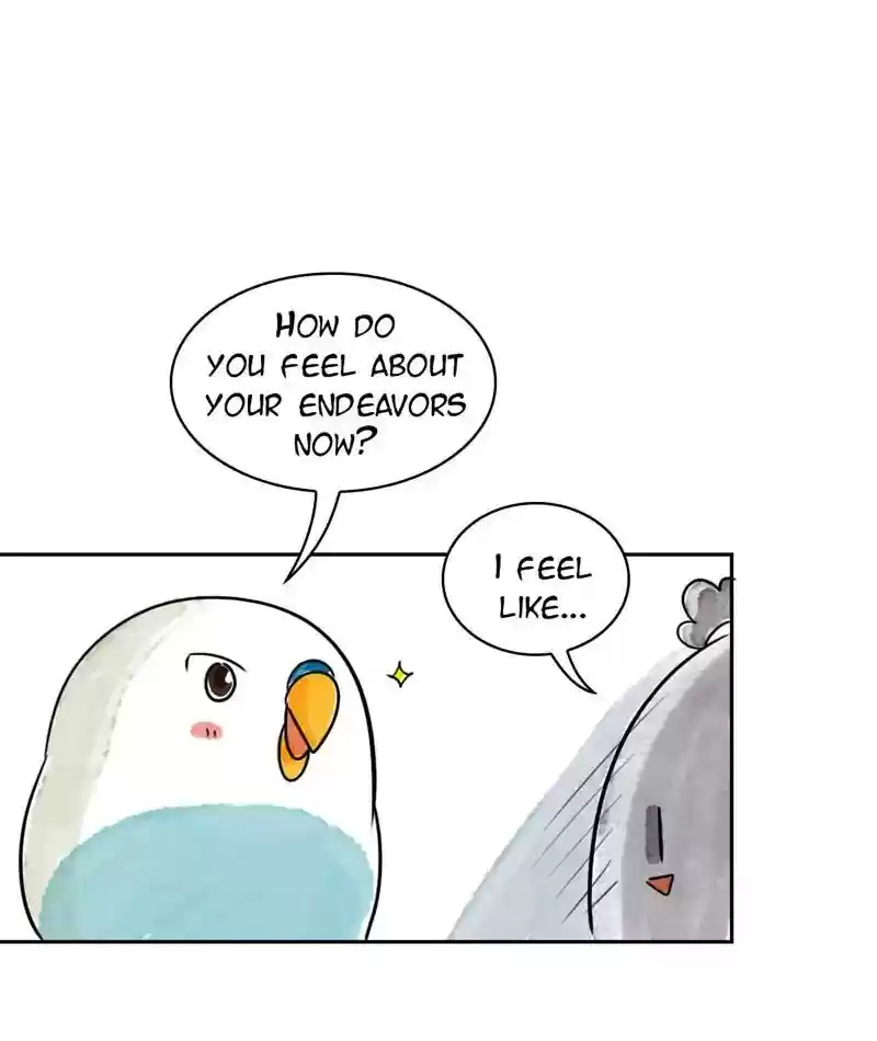 A Budgie's Life Chapter 217: Ep.216: